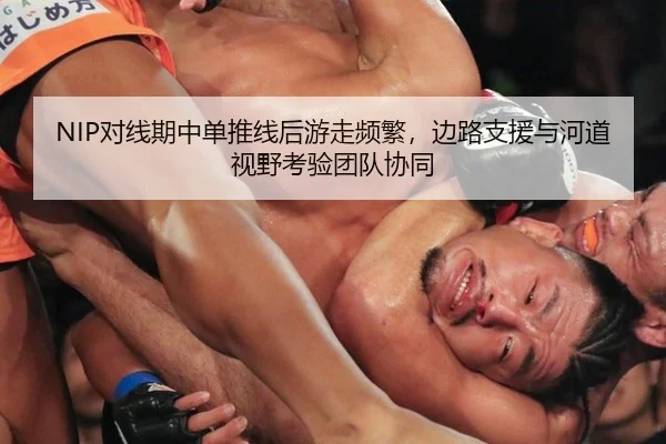 NIP对线期中单推线后游走频繁，边路支援与河道视野考验团队协同